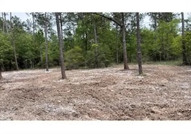 Homes for sale in Kountze, TX | 0000 Langham Rd, Kountze, TX 77625 | MLS# 21098135