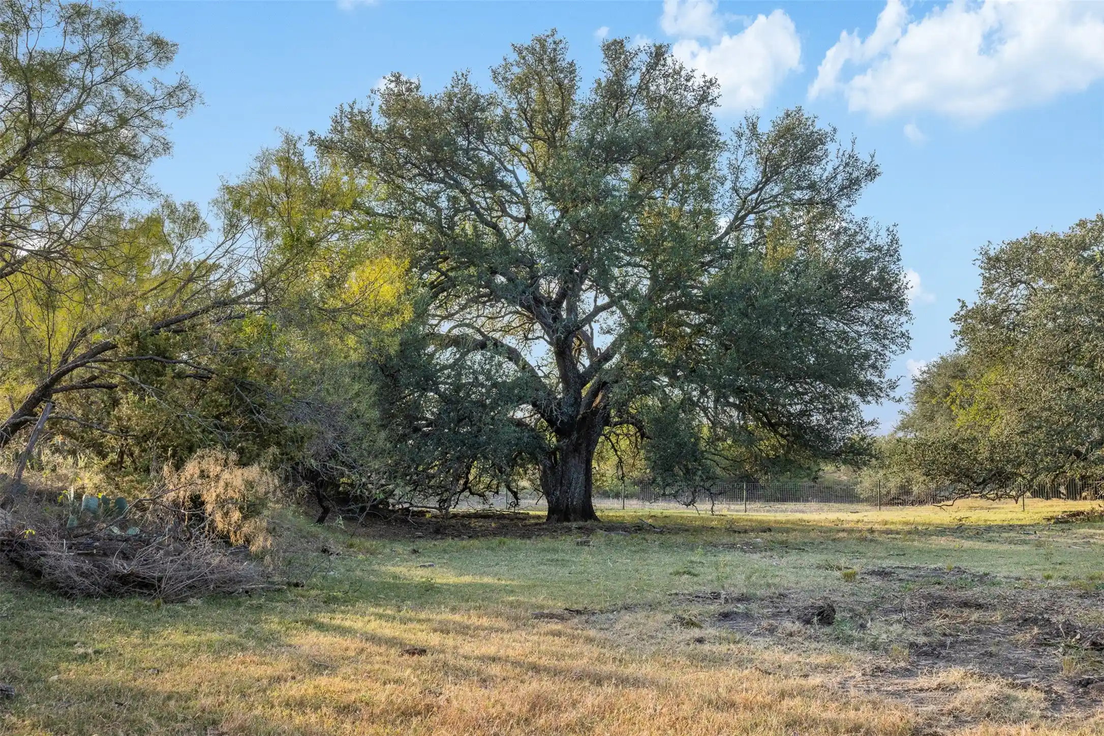 Photo 1 of Land for sale at Tract 3 Tbd Cr 424, Rochelle, TX 76872 | MLS# 21098272 | Listing updated on 2026-10-14