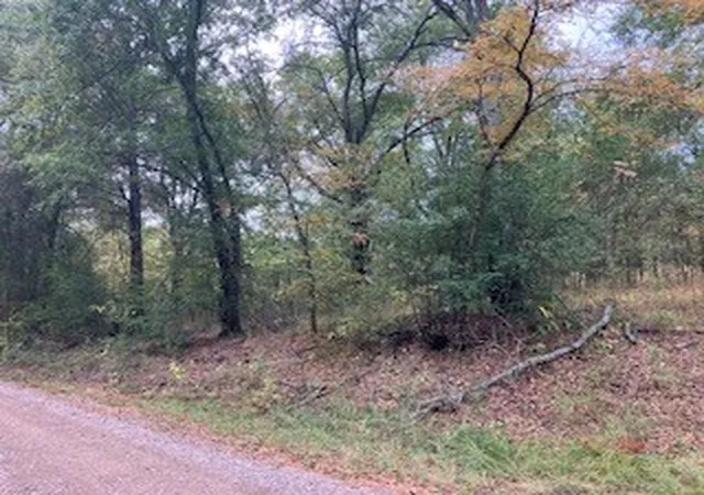 Photo 2 of Land for sale at Tbd Lot 16 Westwood Dr, Trinidad, TX 75163 | MLS# 21098688 | Listing updated on 2026-09-26