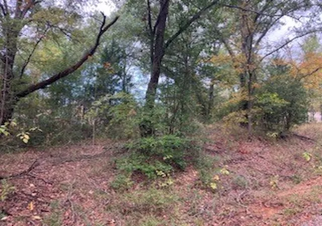 Photo 3 of Land for sale at Tbd Lot 16 Westwood Dr, Trinidad, TX 75163 | MLS# 21098688 | Listing updated on 2026-09-26