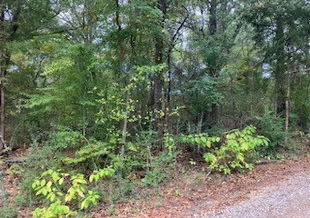 Land for sale at Tbd Lot 17 Westwood Dr, Trinidad, TX 75163 | MLS# 21098717
