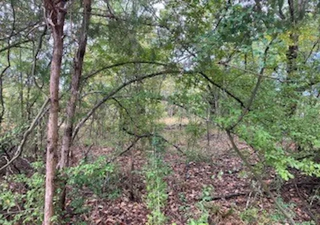 Photo 2 of Land for sale at Tbd Lot 17 Westwood Dr, Trinidad, TX 75163 | MLS# 21098717 | Listing updated on 2026-09-26