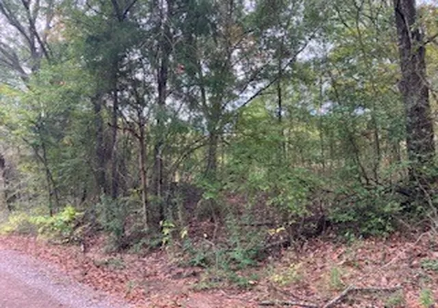 Photo 3 of Land for sale at Tbd Lot 17 Westwood Dr, Trinidad, TX 75163 | MLS# 21098717 | Listing updated on 2026-09-26