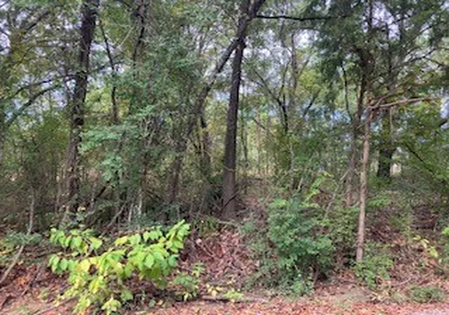 Photo 4 of Land for sale at Tbd Lot 17 Westwood Dr, Trinidad, TX 75163 | MLS# 21098717 | Listing updated on 2026-09-26