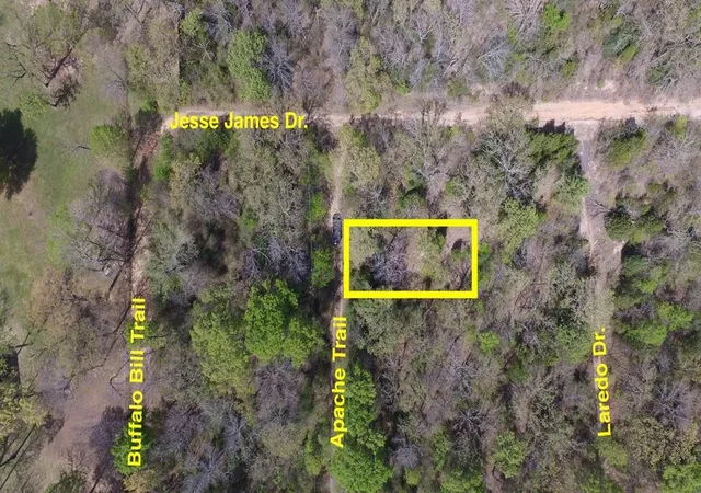 Homes for sale in Log Cabin, TX | 0 Apache Trail, Log Cabin, TX 75148 | MLS# 21099078