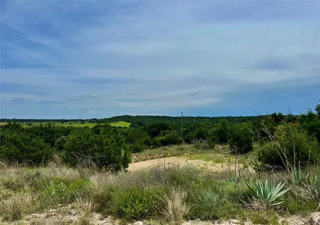 Homes for sale in Lipan, TX | Tbd County Road 464, Lipan, TX 76462 | MLS# 21099520