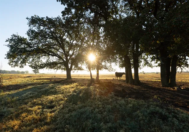 Photo 1 of Land for sale at Tbd Brushy Rd #Tract 4, Granbury, TX 76048 | MLS# 21100067 | Listing updated on 2026-09-16