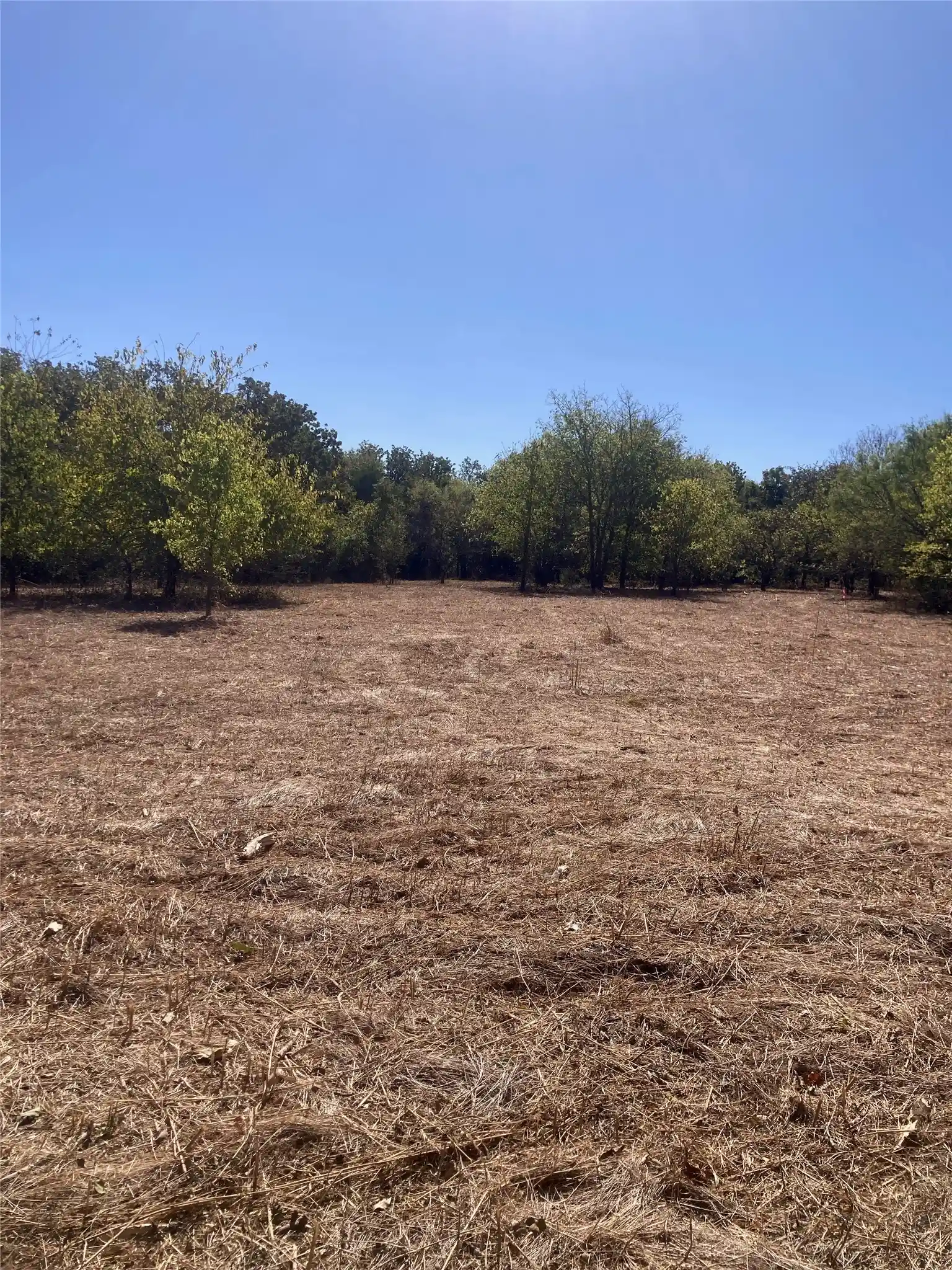 Photo 1 of Land for sale at 1615 Cr 429, Cleburne, TX 76033 | MLS# 21100093 | Listing updated on 2026-10-29
