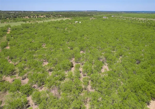 Homes for sale in Brookesmith, TX | Tbd Cr 211, Brookesmith, TX 76827 | MLS# 21102374