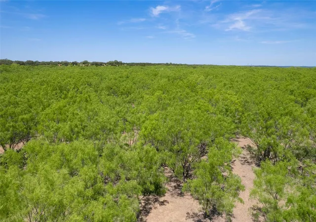 Homes for sale in Brookesmith, TX | Tbd Cr 211, Brookesmith, TX 76827 | MLS# 21102374