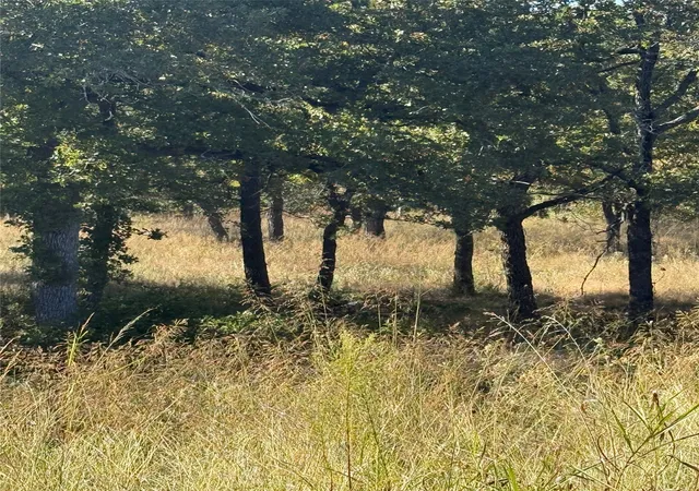 Photo 2 of Land for sale at 416 Sunset Bay Pointe Ct, Chico, TX 76431 | MLS# 21102972 | Listing updated on 2026-07-09