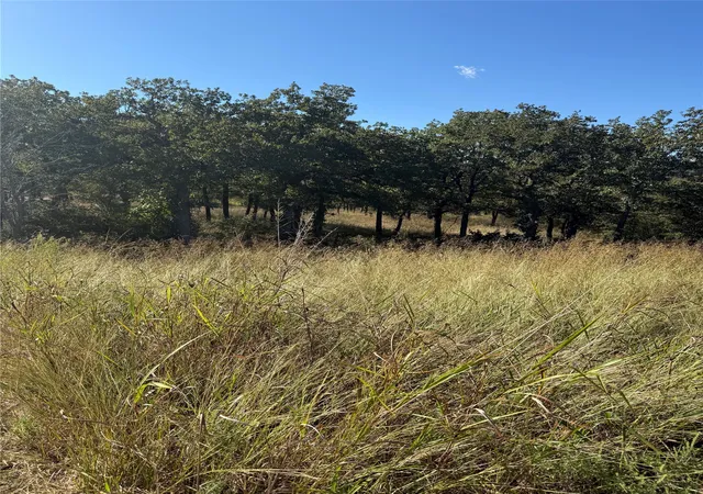 Photo 3 of Land for sale at 416 Sunset Bay Pointe Ct, Chico, TX 76431 | MLS# 21102972 | Listing updated on 2026-07-09