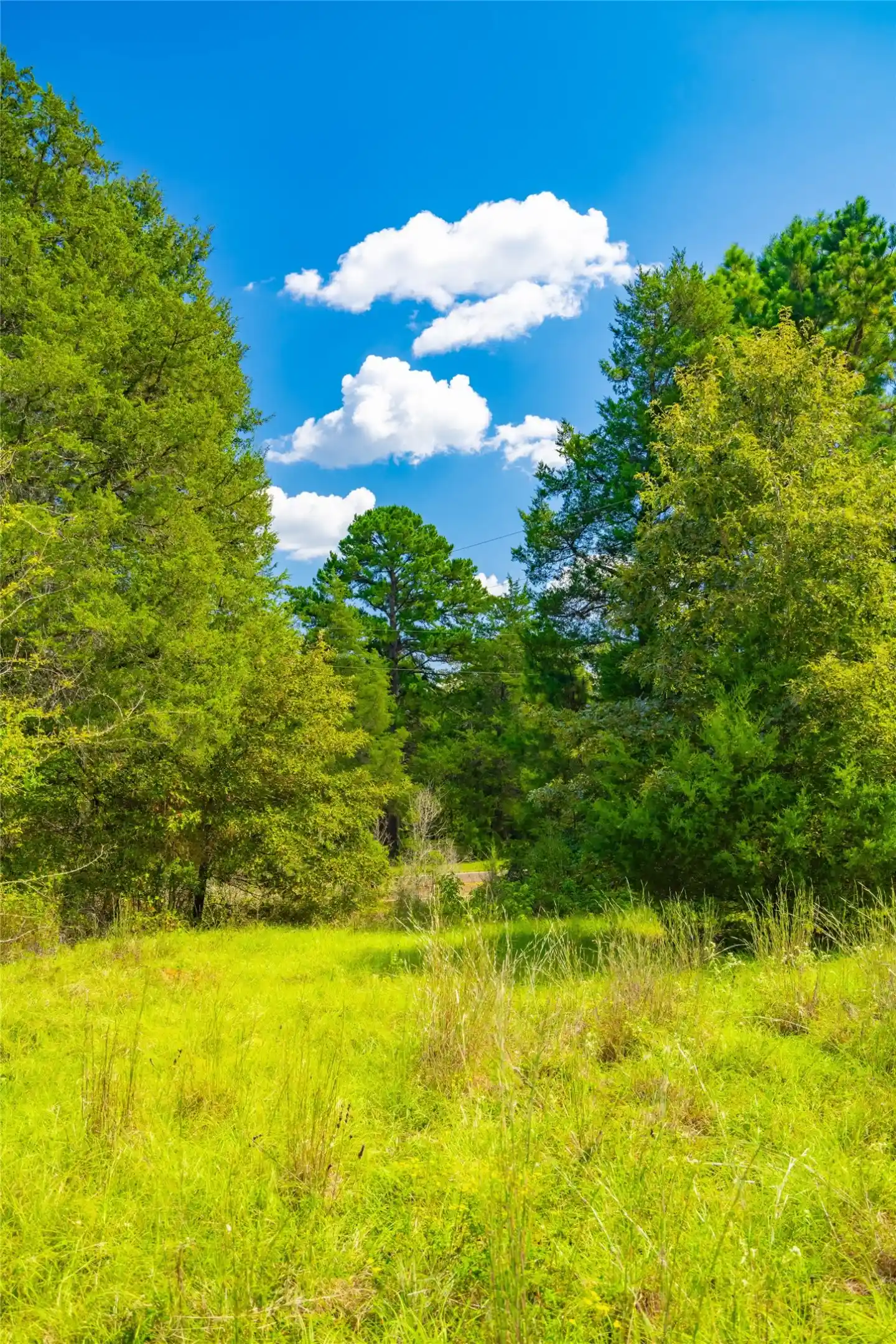Photo 1 of Land for sale at 14799 Fm 315, Palestine, TX 75803 | MLS# 21104265 | Listing updated on 2026-04-15