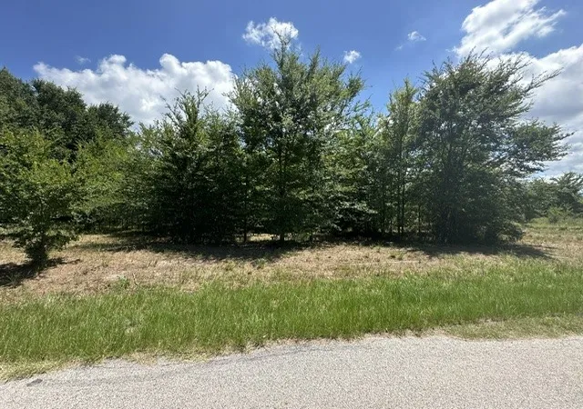 Photo 3 of Land for sale at 527 Tahiti Ln, Tool, TX 75143 | MLS# 21091619 | Listing updated on 2026-10-05
