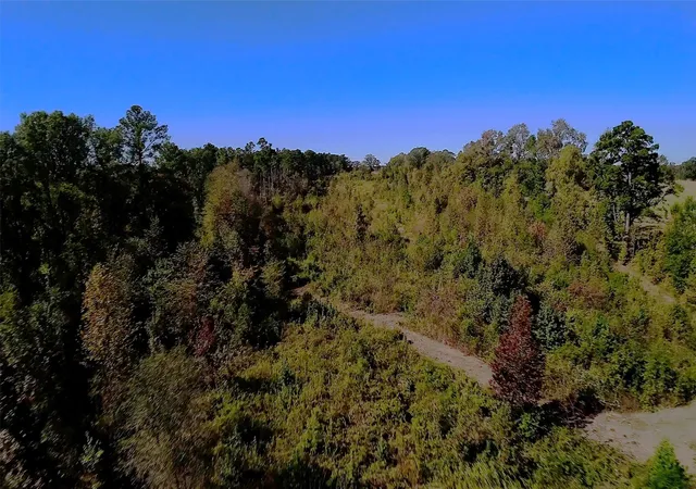 Homes for sale in Gilmer, TX | 10222 Us Hwy 271 N, Gilmer, TX 75644 | MLS# 21105038