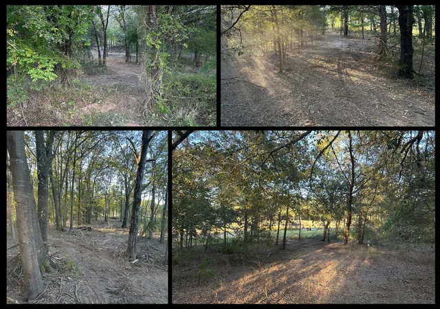 Photo 2 of Land for sale at 00 Us 271, Arthur City, TX 75411 | MLS# 21105286 | Listing updated on 2026-07-28