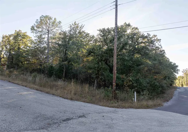 Photo 2 of Land for sale at 555 And 559 Holly Glen, Murchison, TX 75778 | MLS# 21102890 | Listing updated on 2026-08-25