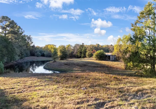 Homes for sale in Gilmer, TX | 9086 Fm 49, Gilmer, TX 75644 | MLS# 21107200