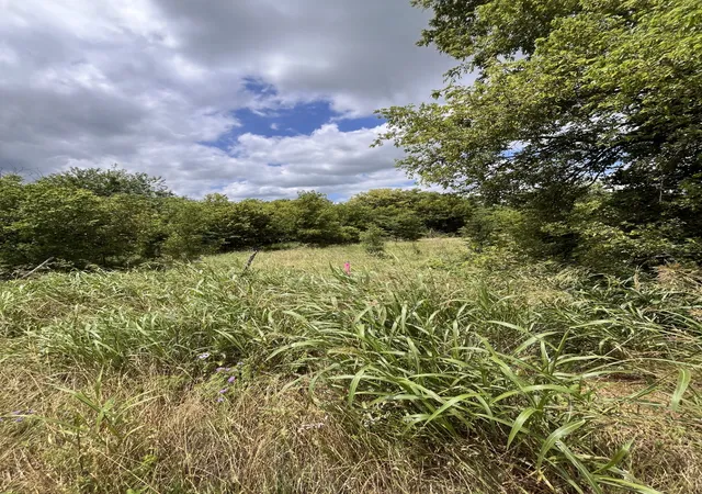 Homes for sale in Milford, TX | Cr 4365, Milford, TX 76670 | MLS# 21081580