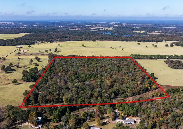 Photo 3 of Sale Pending at 13793 An County Road 404, Palestine, TX 75803 | MLS# 21107530 | Listing updated on 2026-09-23