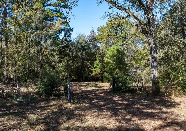 Photo 4 of Sale Pending at 13793 An County Road 404, Palestine, TX 75803 | MLS# 21107530 | Listing updated on 2026-09-23