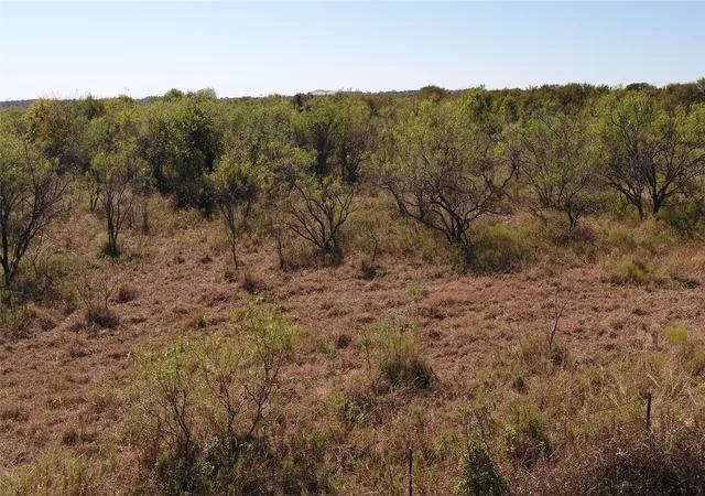 Homes for sale in Tehuacana, TX | Tbd Tract 5 County Rd 228, Tehuacana, TX 76667 | MLS# 21108923