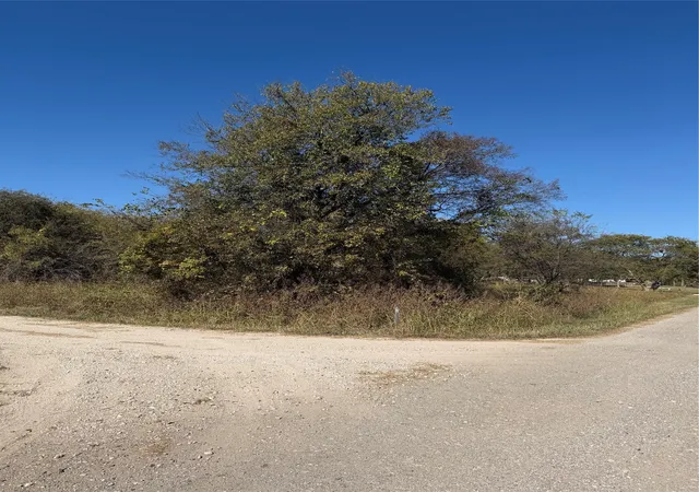 Photo 4 of Land for sale at Tbd Ridgecrest, Lone Oak, TX 75453 | MLS# 21108502 | Listing updated on 2026-09-02