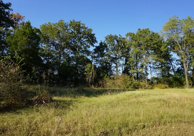 Homes for sale in Log Cabin, TX | 1688 Doc Holiday Dr, Log Cabin, TX 75148 | MLS# 21109579