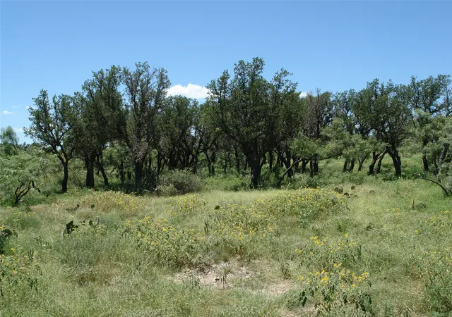 Photo 2 of House for sale at 0001 Cr 146, Brady, TX 76825 | MLS# 21110870 | Listing updated on 2026-08-31