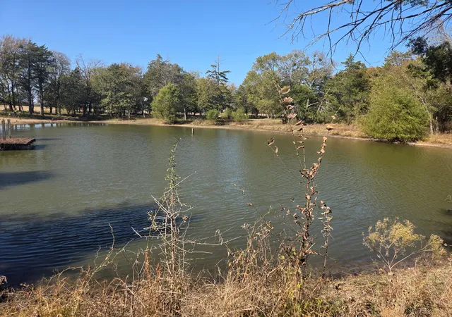 Homes for sale in Cumby, TX | 1008 County Road 4133, Cumby, TX 75433 | MLS# 21110204