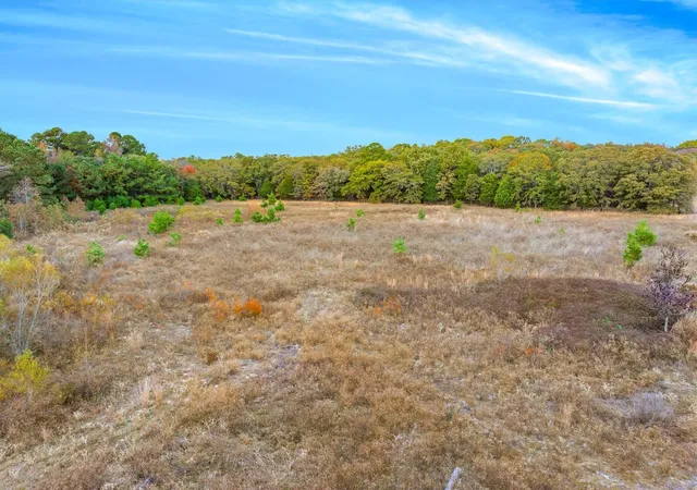 Photo 3 of Land for sale at Tbd Nw Loop 564, Mineola, TX 75773 | MLS# 21111045 | Listing updated on 2026-10-06