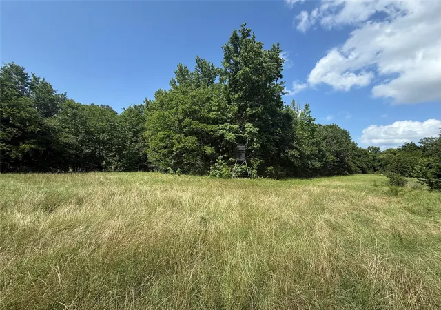 Photo 3 of Land for sale at 11591 2 Farm Road 269 S, Pickton, TX 75471 | MLS# 21111009 | Listing updated on 2026-07-17
