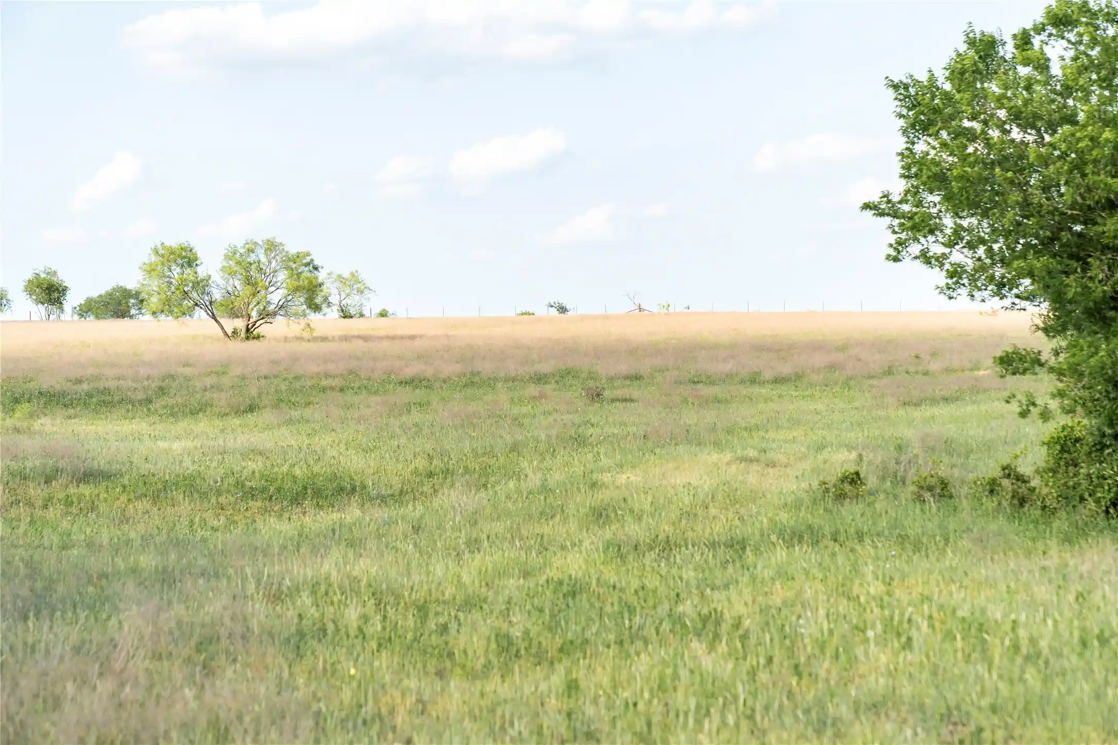 Photo 1 of Land for sale at Tbd Rattler Hill Rd, Mc Gregor, TX 76657 | MLS# 21111814 | Listing updated on 2026-06-30