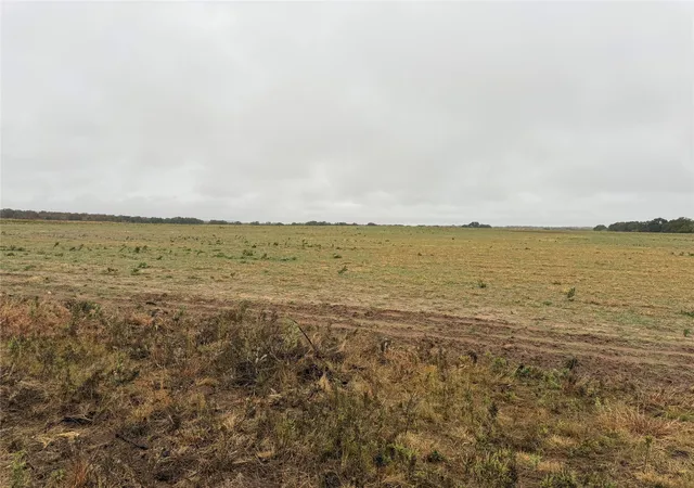 Homes for sale in Clyde, TX | Tract 1 Tbd Fm 1178, Clyde, TX 79510 | MLS# 21112795