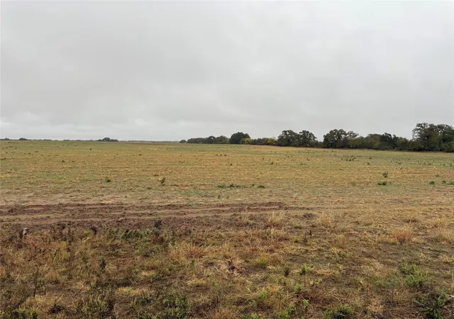 Homes for sale in Clyde, TX | Tract 1 Tbd Fm 1178, Clyde, TX 79510 | MLS# 21112795