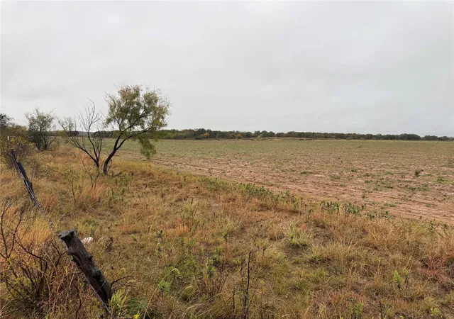 Homes for sale in Clyde, TX | Tract 1 Tbd Fm 1178, Clyde, TX 79510 | MLS# 21112795