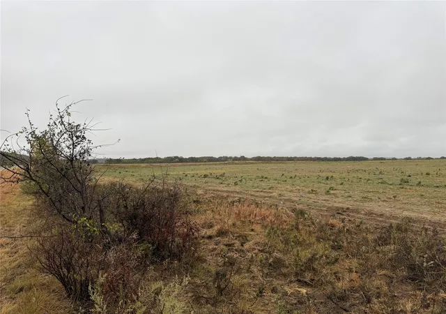 Homes for sale in Clyde, TX | Tract 2 Tbd Fm 1178, Clyde, TX 79510 | MLS# 21113004