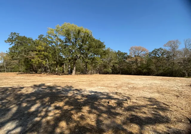 Photo 3 of Land for sale at 12047 County Road 414, Somerville, TX 77879 | MLS# 21111004 | Listing updated on 2026-07-20