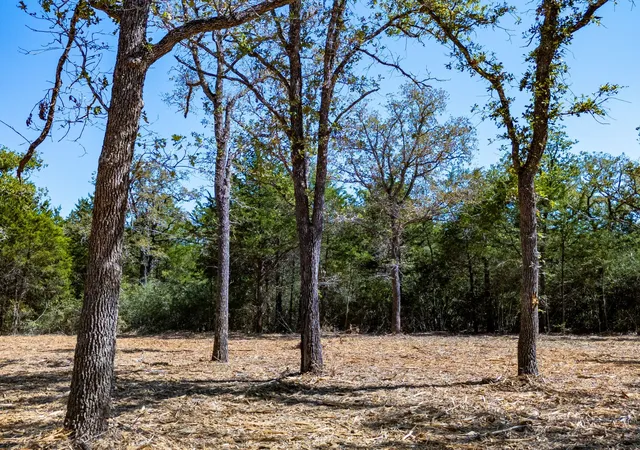 Photo 3 of Land for sale at 12345 Country Road 414, Somerville, TX 77879 | MLS# 21111042 | Listing updated on 2026-07-20