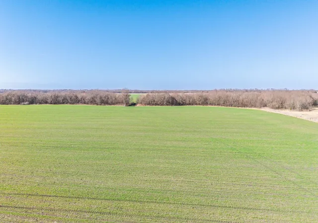 Homes for sale in Pecan Gap, TX | 000 Cr 3140, Pecan Gap, TX 75469 | MLS# 21111204