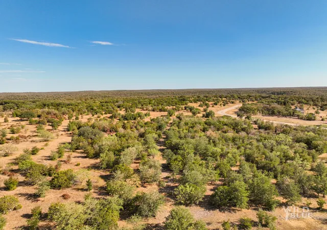 Homes for sale in Santo, TX | Tbd Lots 24 New Hope Rd, Santo, TX 76484 | MLS# 21114503