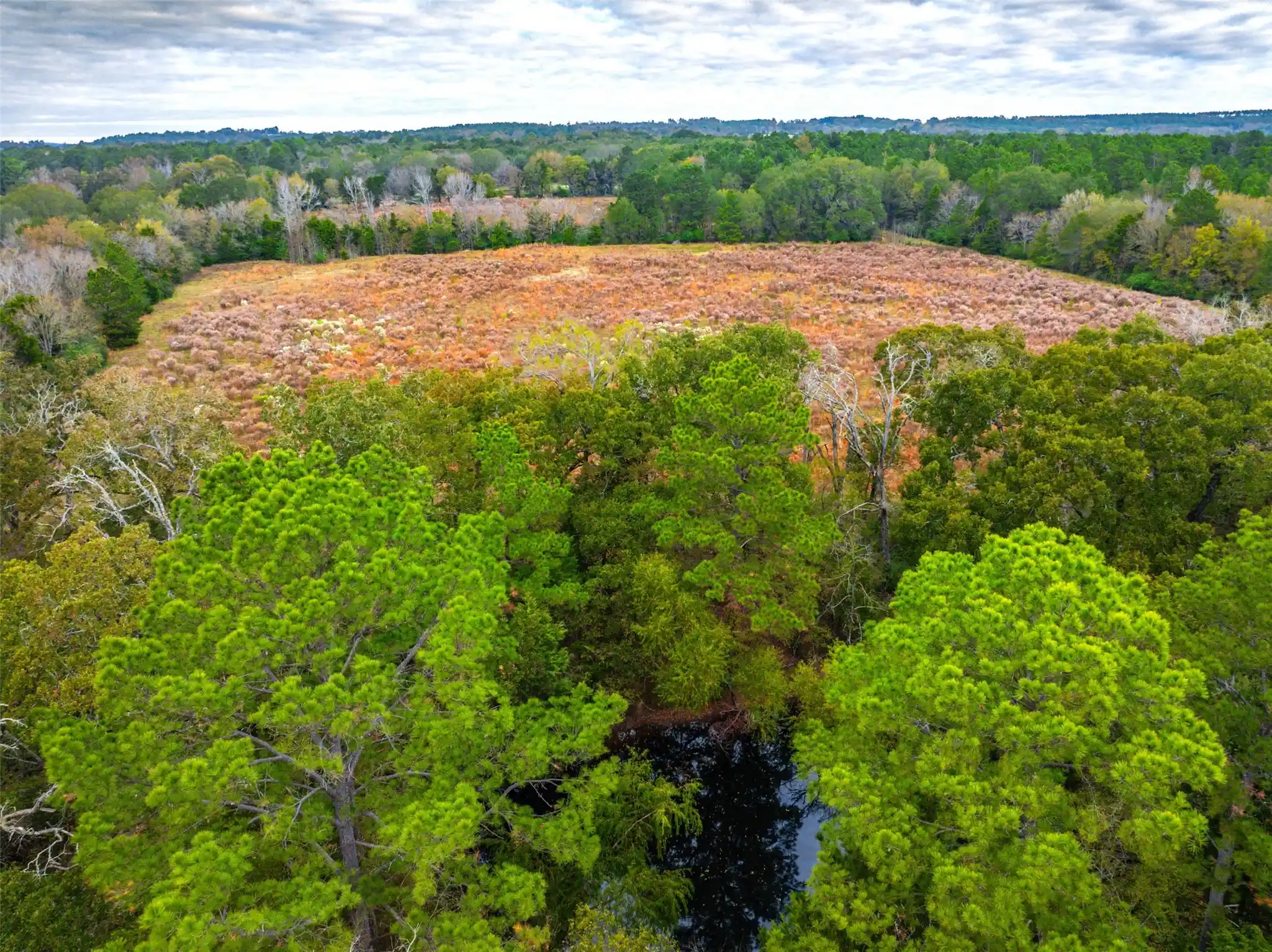 Photo 1 of Land for sale at 00 Anderson County Road 163, Elkhart, TX 75839 | MLS# 21114587 | Listing updated on 2026-10-21