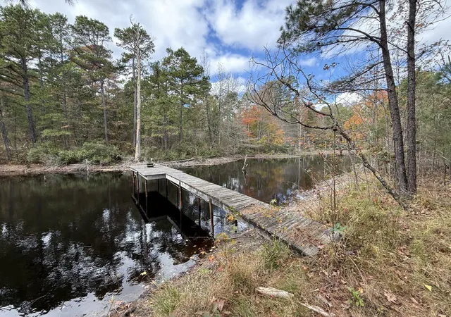 Homes for sale in Gilmer, TX | Tbd Stag Road, Gilmer, TX 75644 | MLS# 21114621
