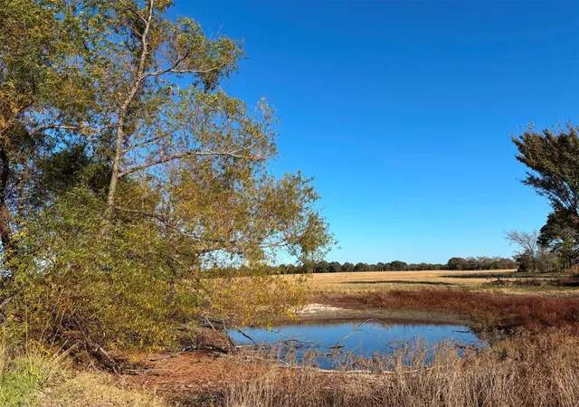 Photo 1 of Land for sale at 000 Fm 1653, Ben Wheeler, TX 75754 | MLS# 21114811 | Listing updated on 2026-07-20