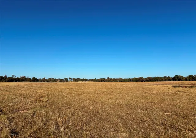 Photo 2 of Land for sale at 000 Fm 1653, Ben Wheeler, TX 75754 | MLS# 21114811 | Listing updated on 2026-07-20