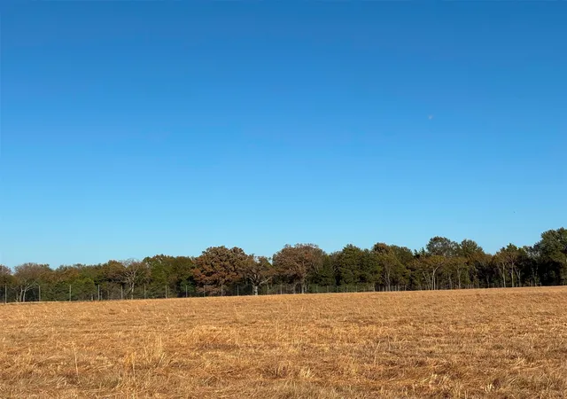 Photo 3 of Land for sale at 000 Fm 1653, Ben Wheeler, TX 75754 | MLS# 21114811 | Listing updated on 2026-07-20