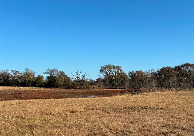 Photo 4 of House for sale at 000 Fm 1653, Ben Wheeler, TX 75754 | MLS# 21114811 | Listing updated on 2026-07-20