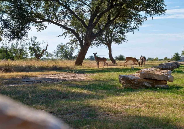 12th image of 380 Clubhouse Dr, Graford, TX 76449 | MLS# 21113736