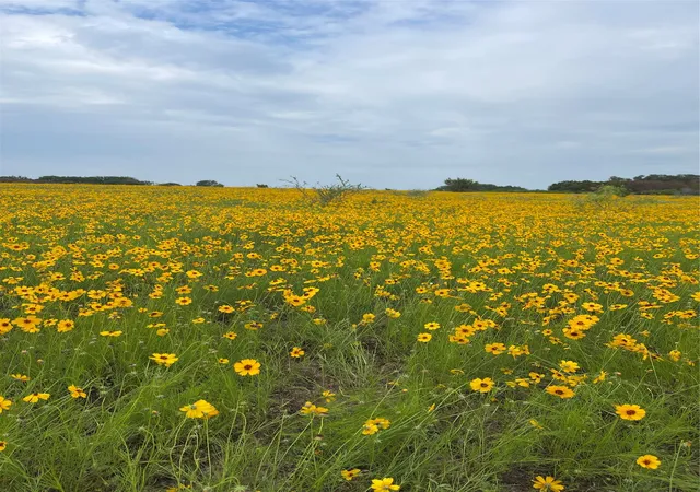 Homes for sale in Stephenville, TX | 0000 Bison Ridge Dr #Lot 155, Stephenville, TX 76401 | MLS# 21115620