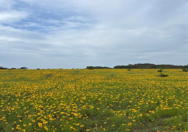Photo 1 of Land for sale at 0000 Bison Ridge Dr #Lot 155, Stephenville, TX 76401 | MLS# 21115620 | Listing updated on 2026-07-20